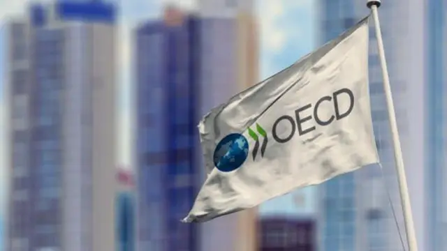OECD ترفع توقعات التضخم لتركيا في 2026 إلى 31.5%