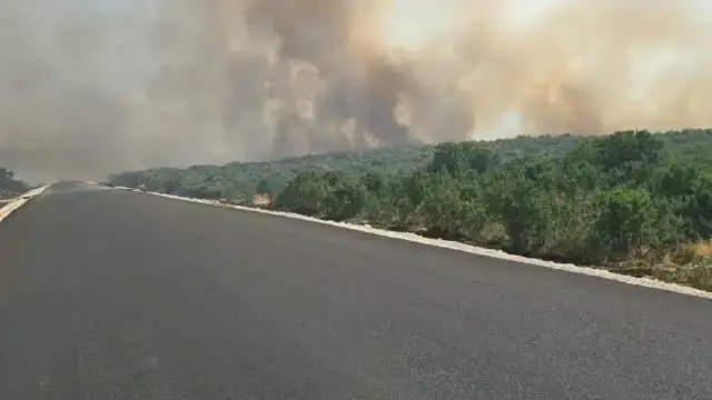 Forest fire in Silvan district of Diyarbakır