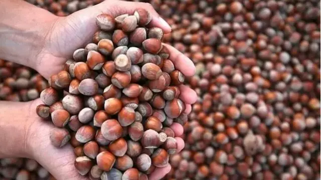 وزارة التجارة تطلق حملة تفتيش في سوق البندق